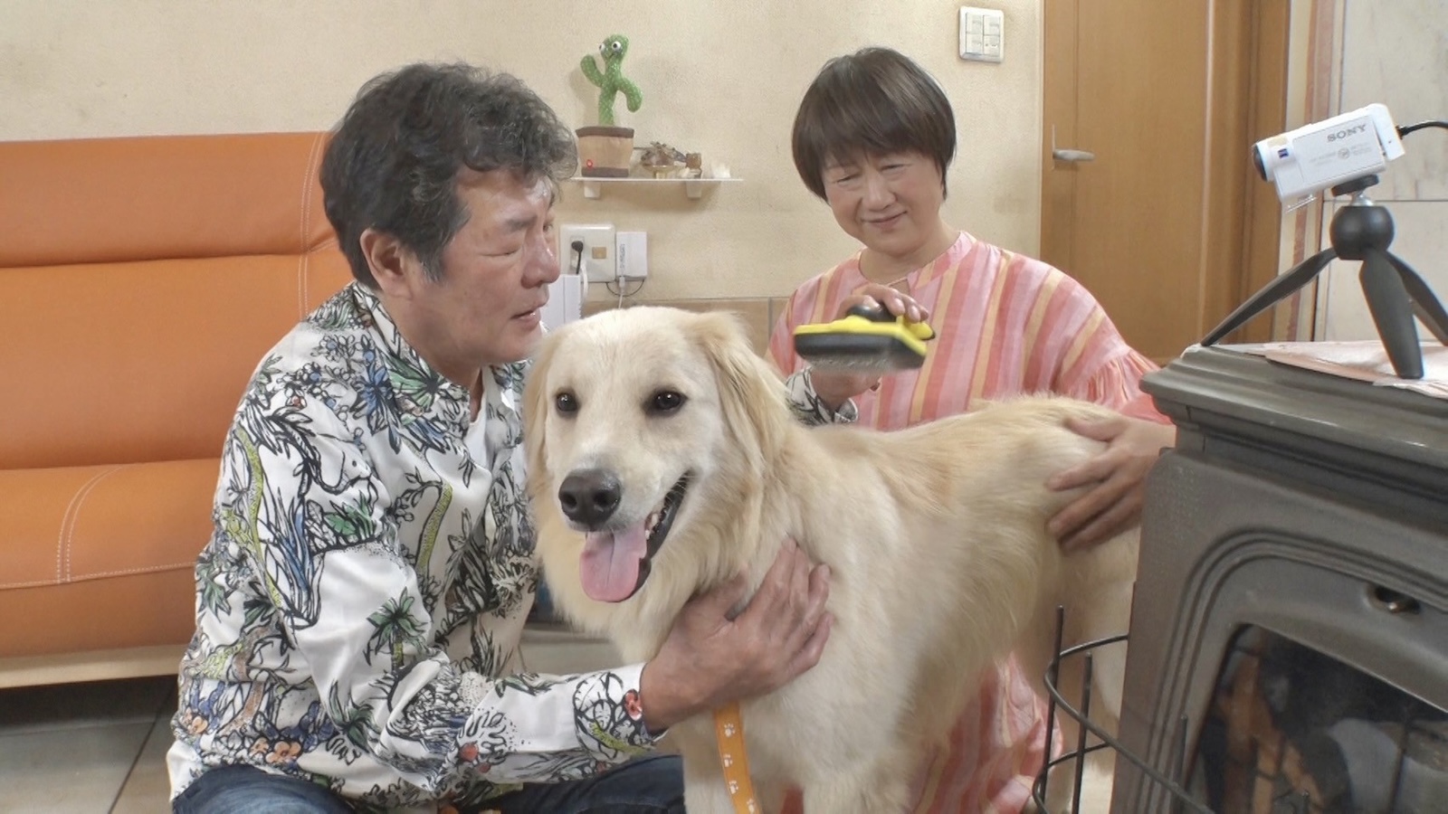 赤井英和と桂子さんの写真