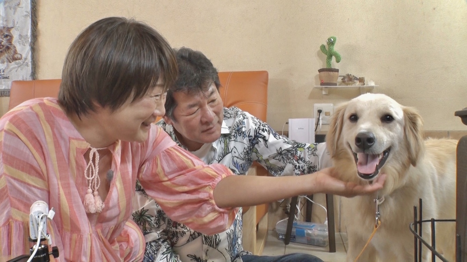 赤井英和と桂子さんの写真