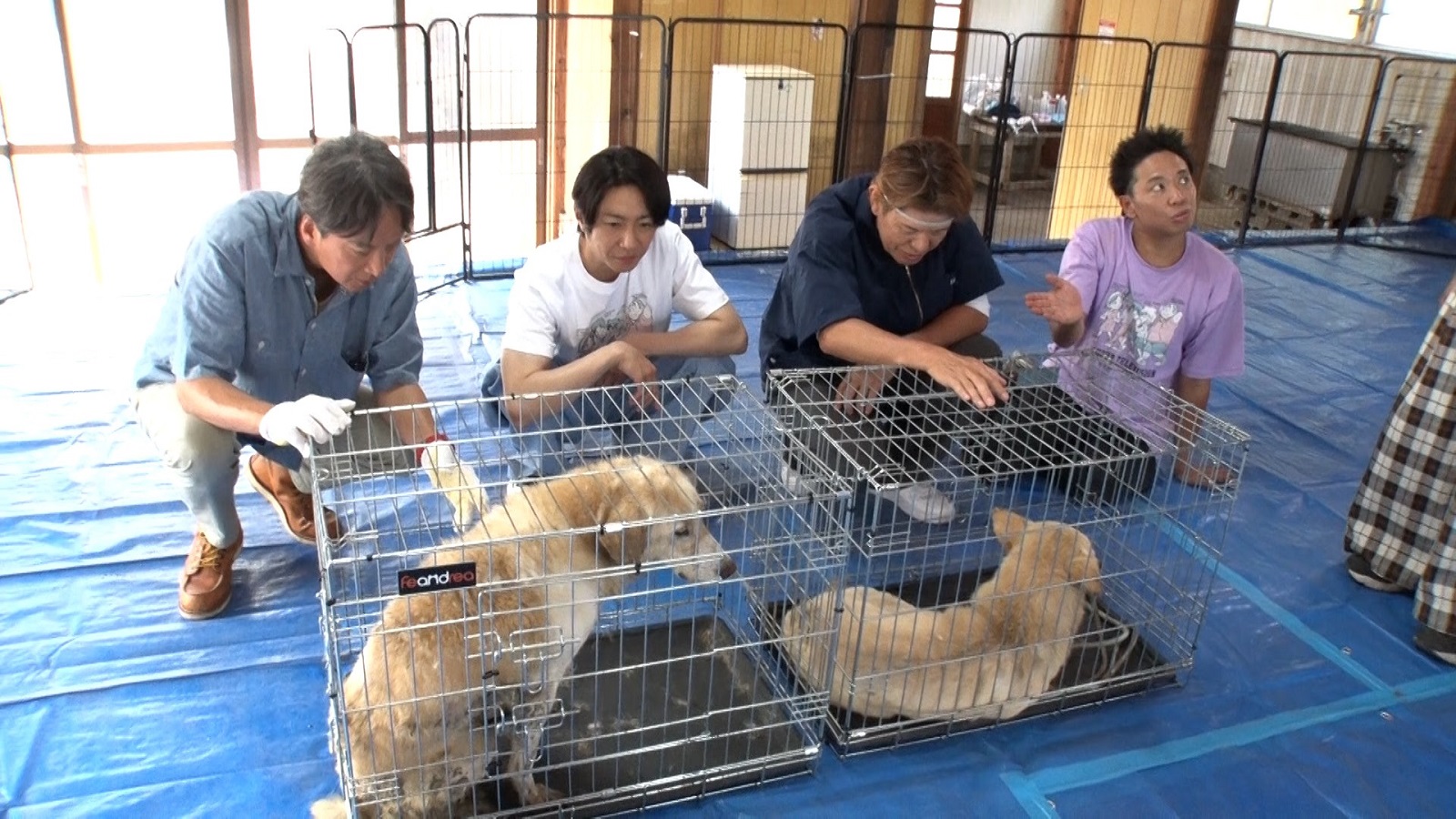 俳優の椎名桔平、ヒロミ、相葉雅紀、サンシャイン池崎の写真