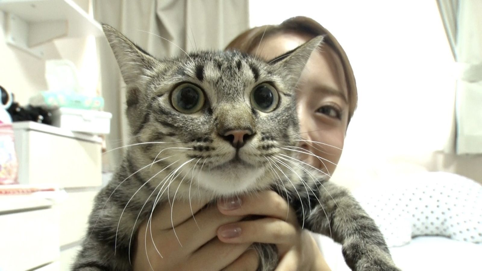 みりちゃむの写真