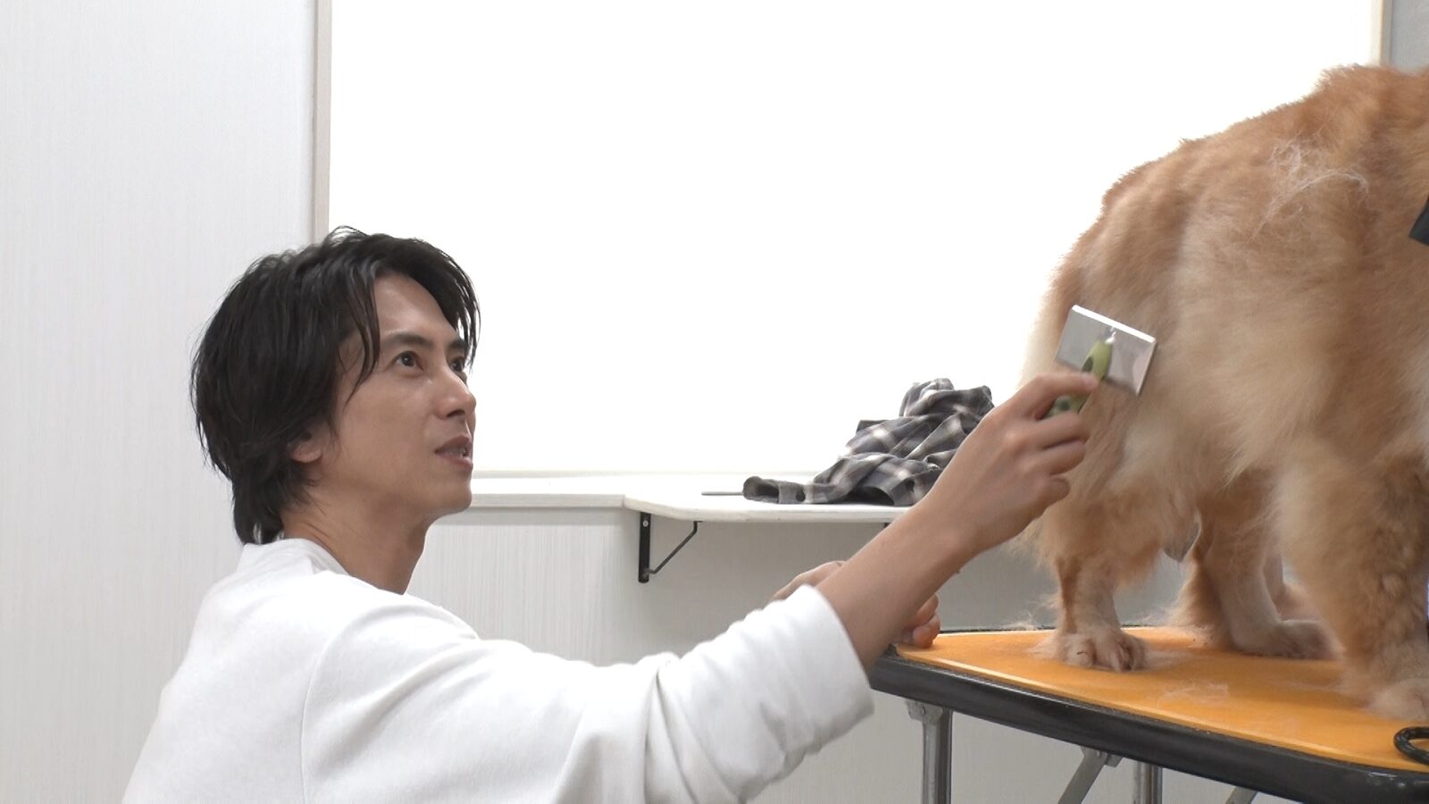山下智久の写真